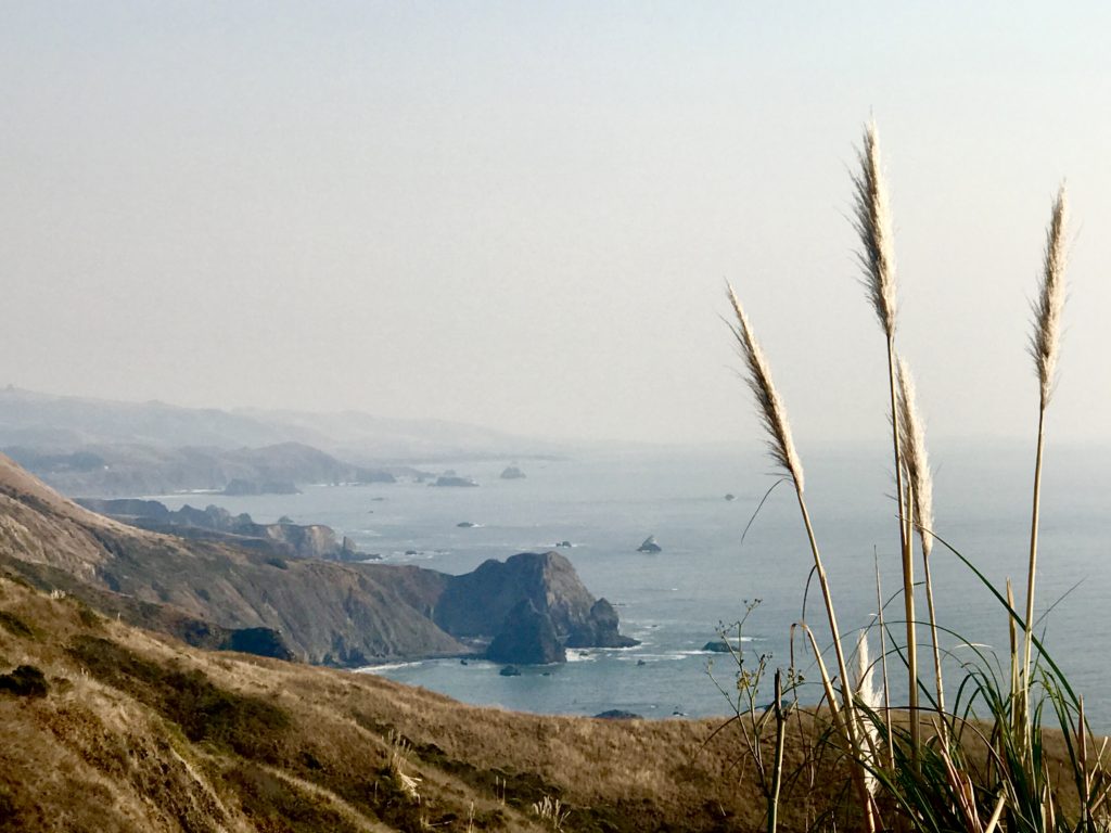 California coastline north of San Francisco on the Pacific Coast Highway