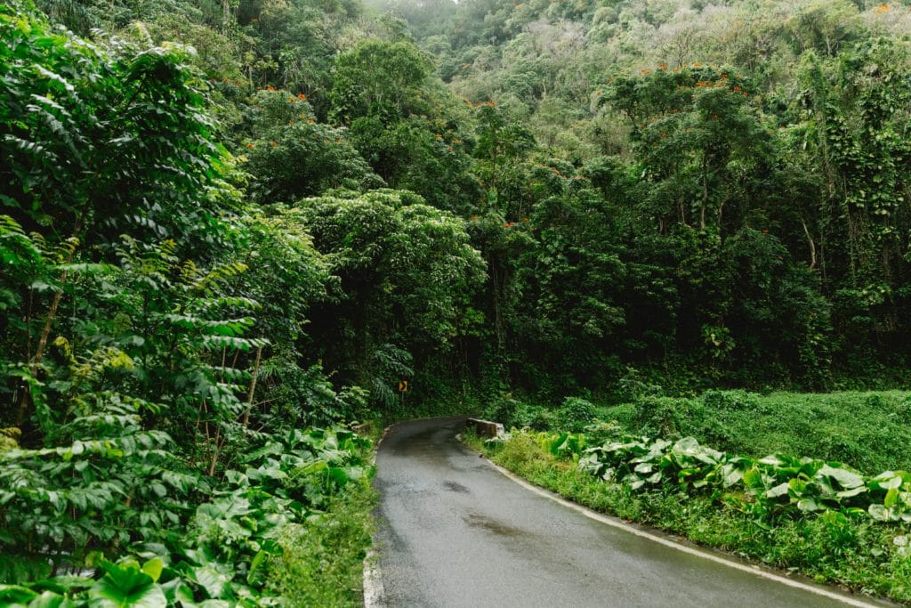 Best 7 day Hawaiian itinerary for Maui -Road to Hana