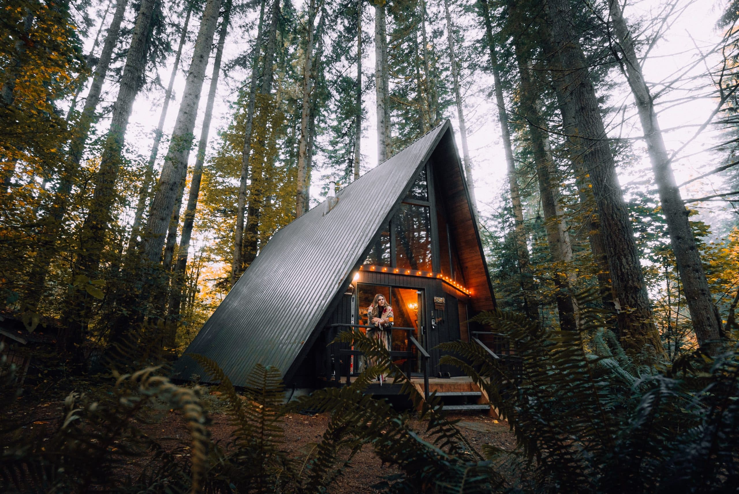 Cabin in the woods