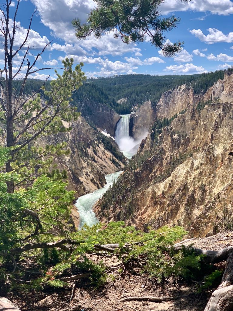 insider tips for visiting yellowstone, lower falls