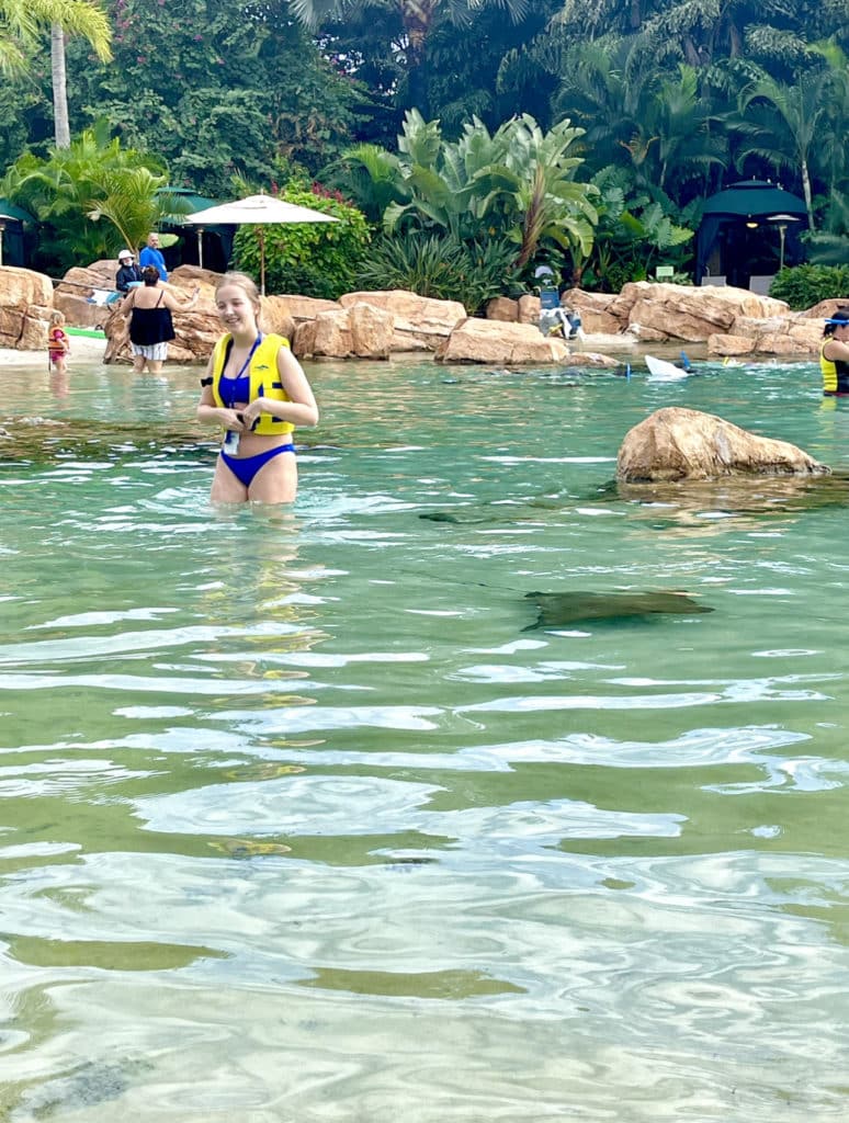 Insider's guide to Discovery Cove