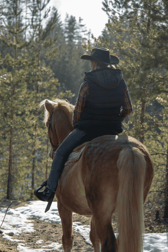 explore shenandoah national park, horseback riding