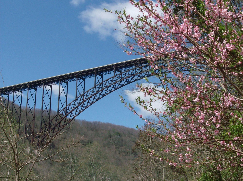 amazing experiences in new river gorge national park