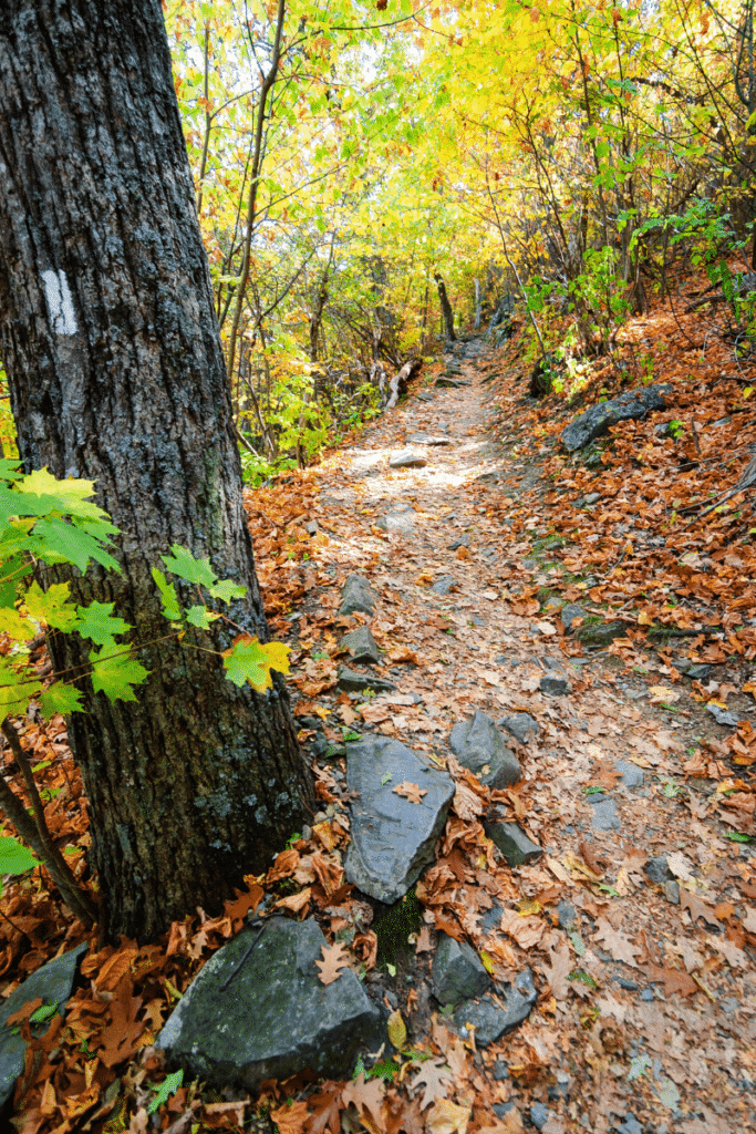 explore shenandoah national park