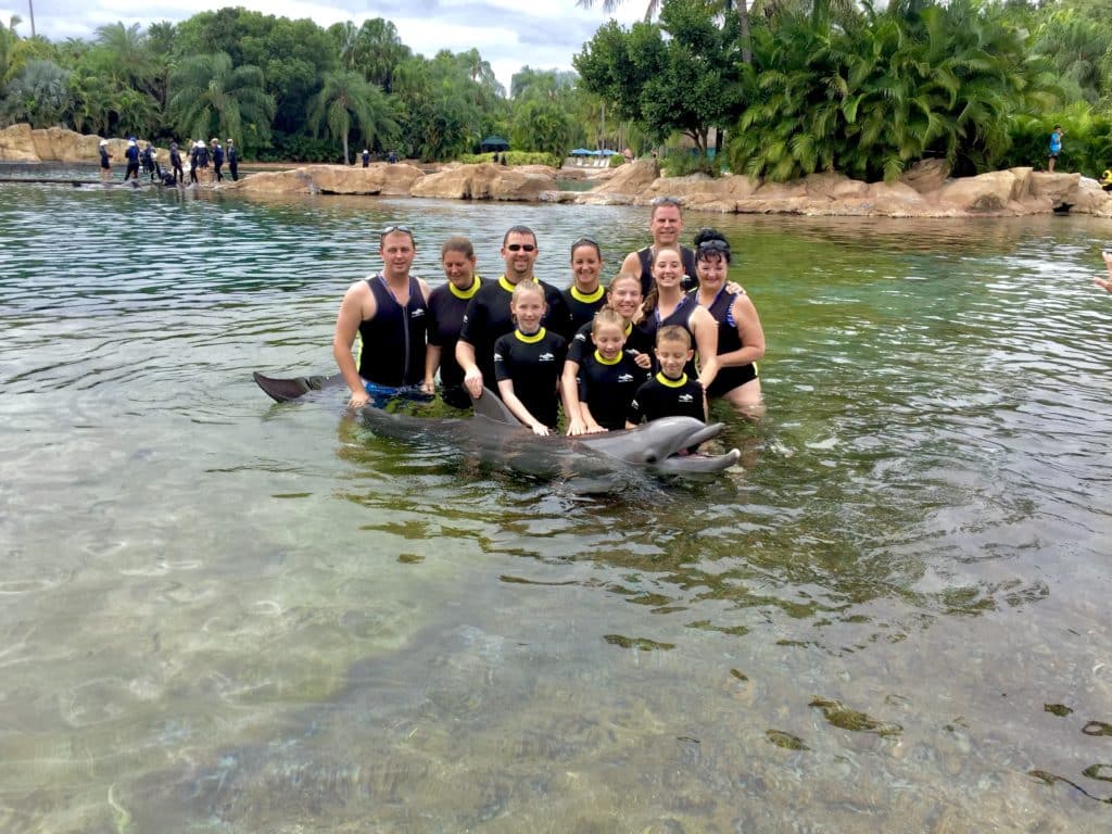 Insider's guide to Discovery Cove, dolphin meeting
