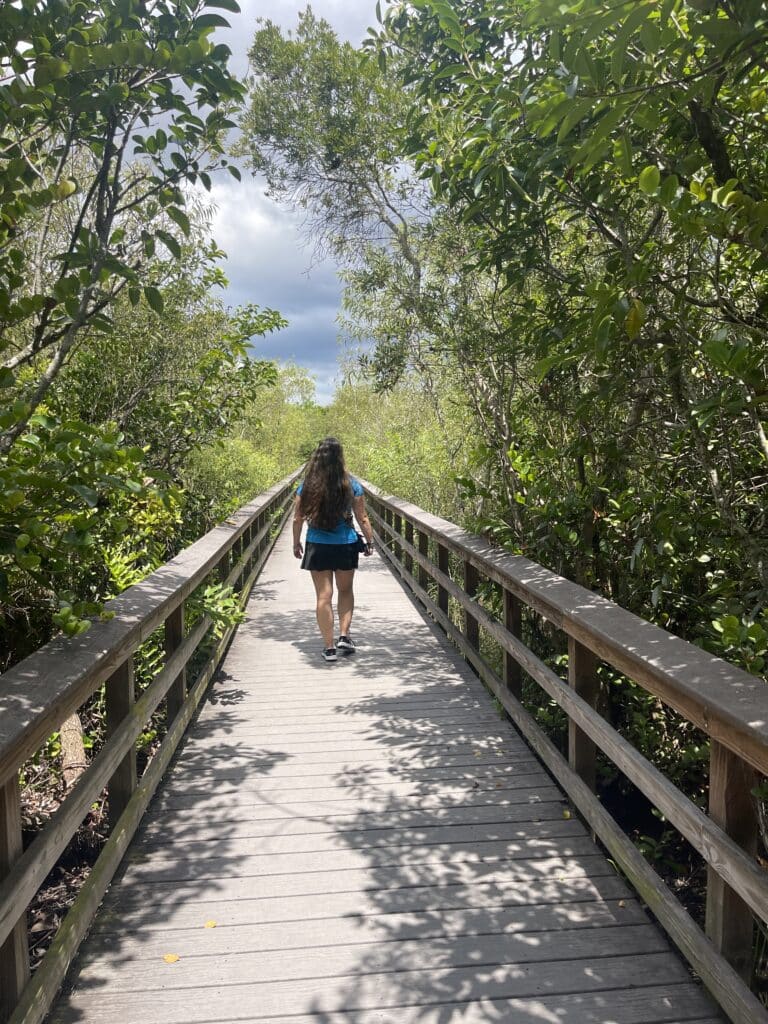 Walking along boardwalk in Everglades National Parl