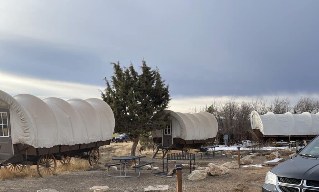 Staying in a covered wagon beats tent camping any day!